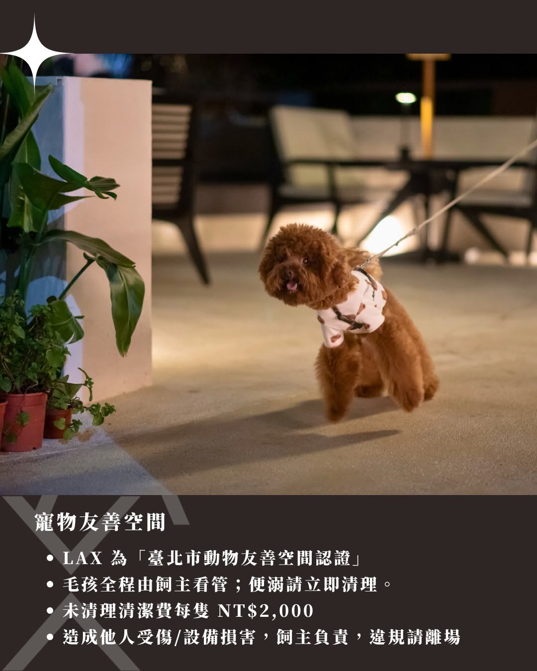LAX包場服務 寵物友善空間規範